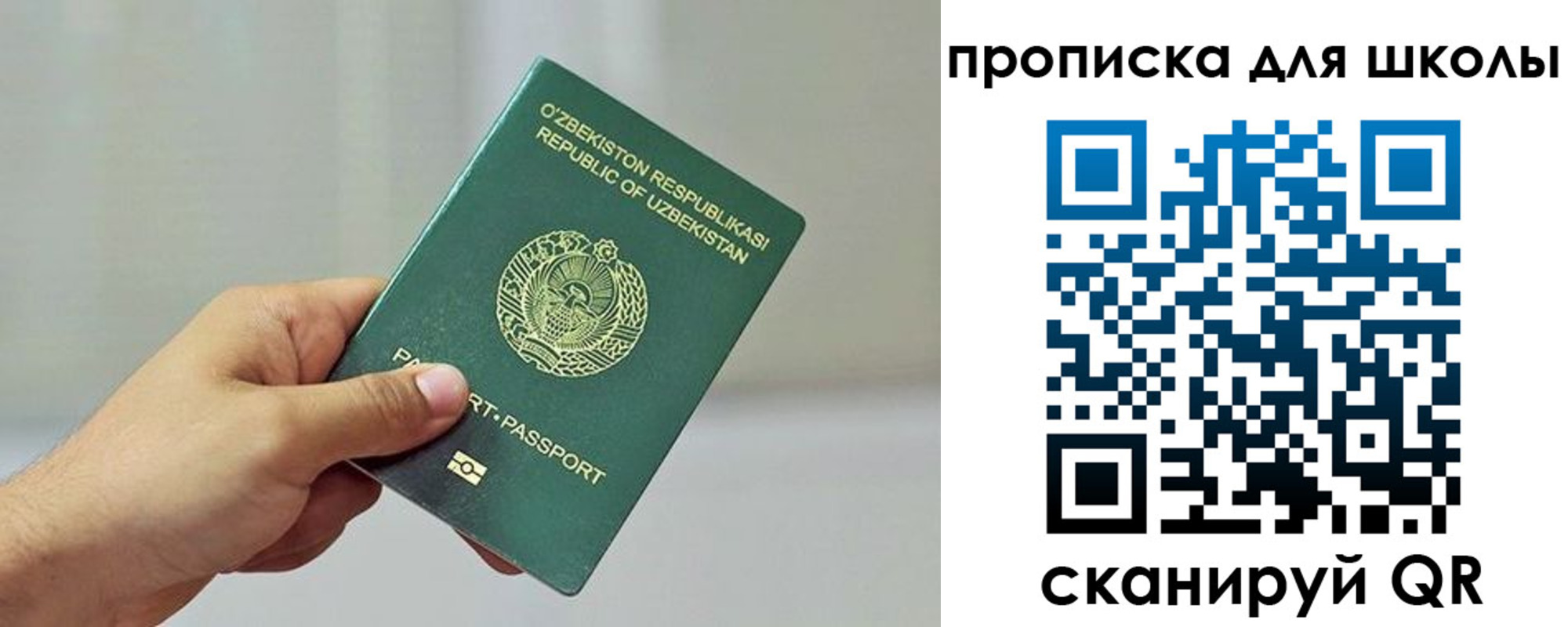 прописка для работы в Звенигово